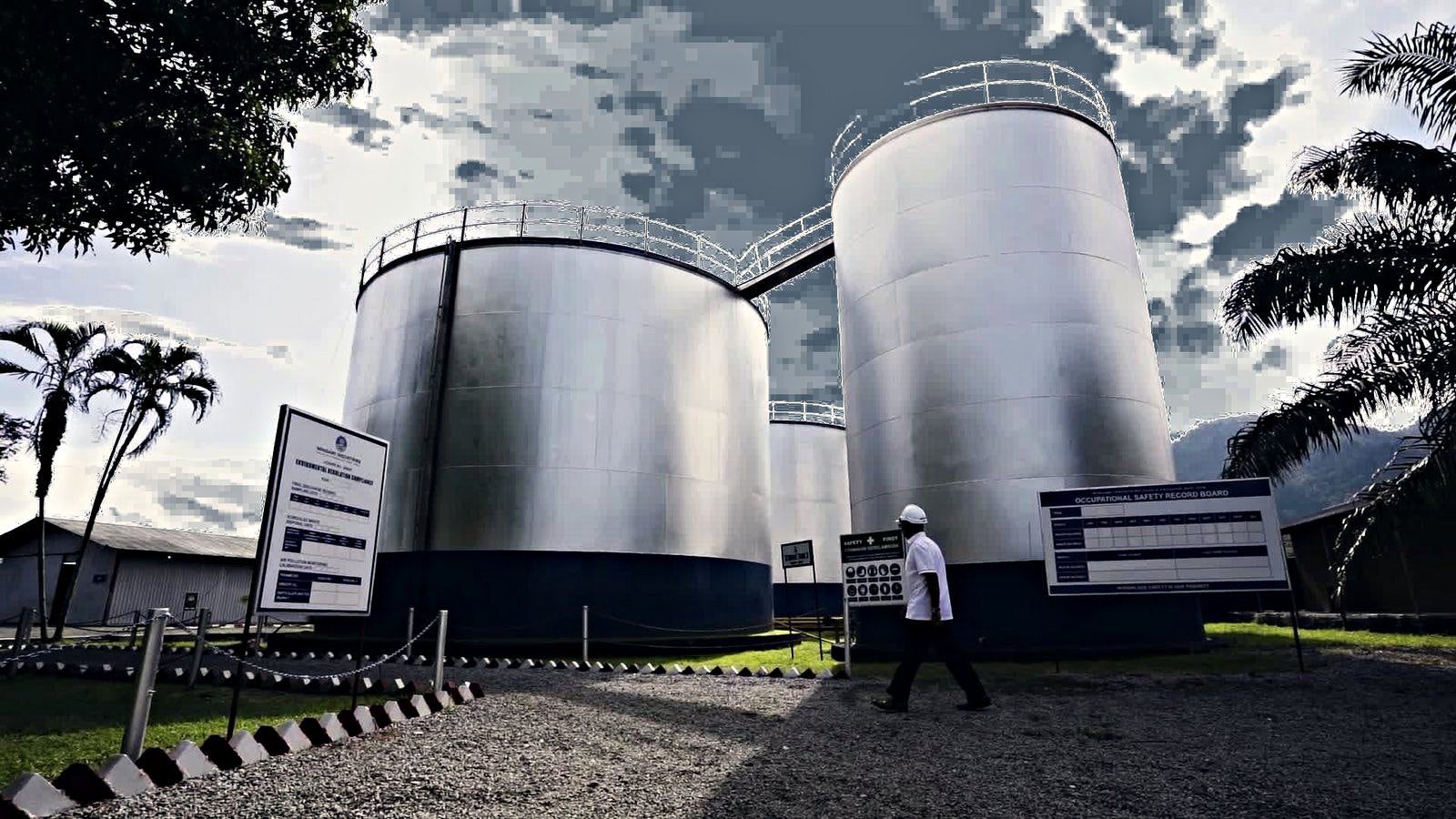 Three stainless crude-palm-oil storage tanks with dark navy skirts at the Minsawi mill — two in the foreground and a third set back between them, each with a railed walkway around its rim and a catwalk bridging them — framed by palm fronds, with a worker in a white hard hat walking past an occupational safety record board in the foreground.