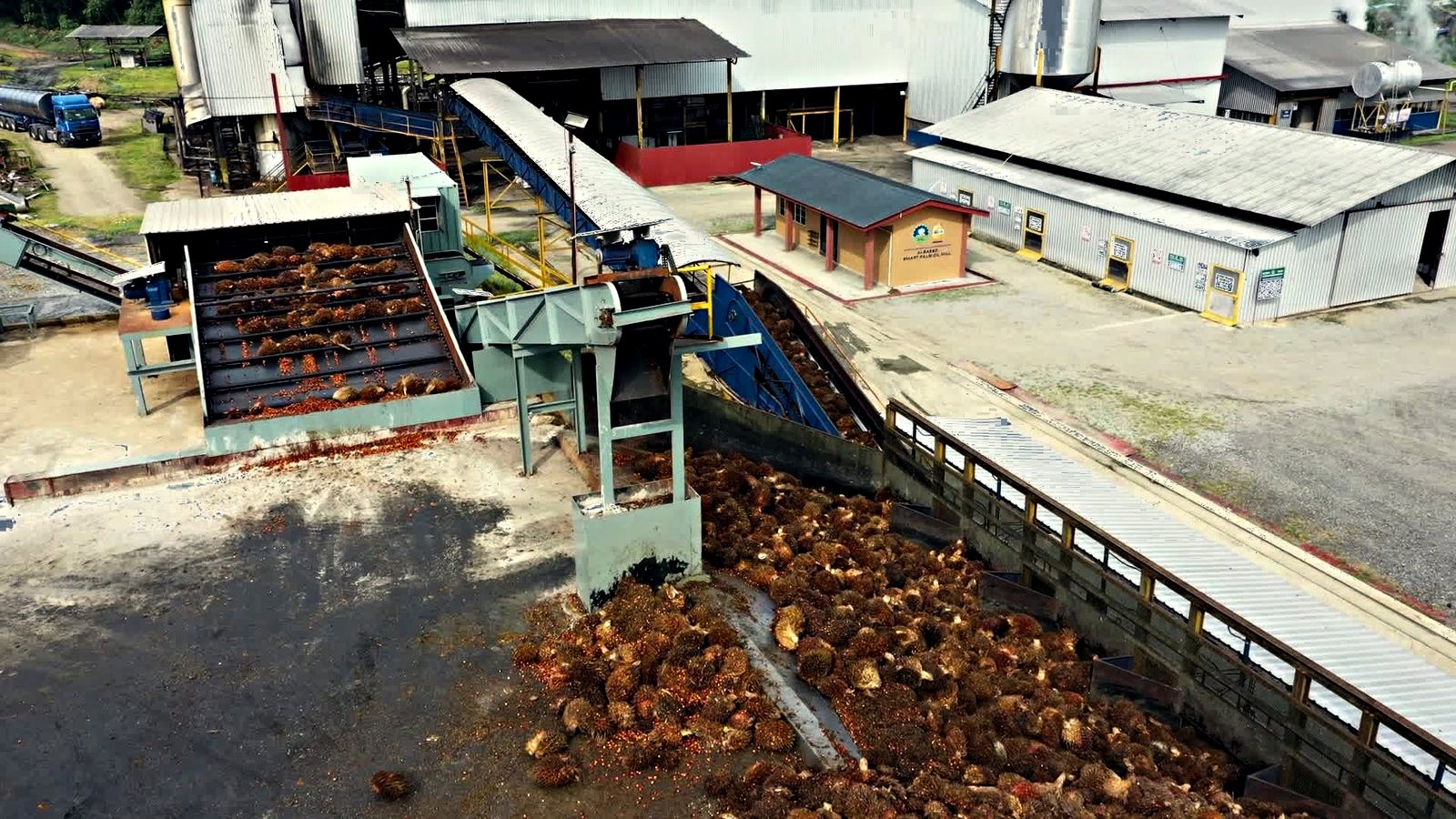 Aerial view of the mill's fruit reception area: fresh fruit bunches heaped in the ramp hopper and riding an inclined conveyor up into the mill house, with a delivery lorry, a small site office and the process buildings around it.