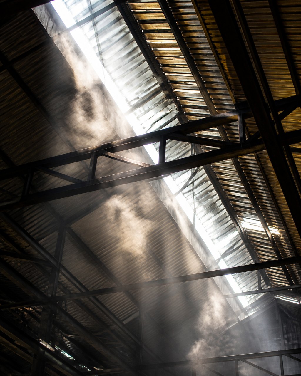 Looking up at the roof vents of a palm oil mill from inside: shafts of light coming down through the louvres between dark steel trusses, dust visible in the beams.