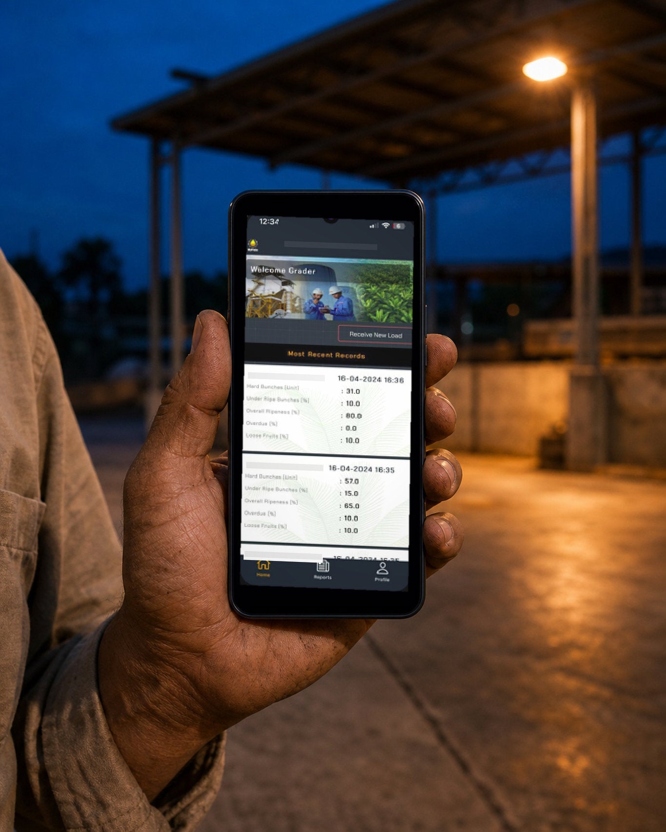 One hand holds a phone at a mill ramp after dark, a work lamp burning under the loading canopy and the wet concrete lit orange beneath it. On the screen is the MyPalm records list &mdash; a MyPalm droplet beside a grey bar painted over the account line, a Welcome Grader banner photograph of two workers in blue overalls and white helmets, a Receive New Load button, then a bar reading Most Recent Records. Two gradings are listed, each stamped with the date and time it was taken and each with its vehicle number covered by a grey bar. Under each stamp run the same five measures the form collects &mdash; Hard Bunches [Unit], Under Ripe Bunches [%], Overall Ripeness [%], Overdue [%] and Loose Fruits [%] &mdash; every one of them carrying a filled-in value. A third record is cut off below, above a Home, Reports and Profile tab row.